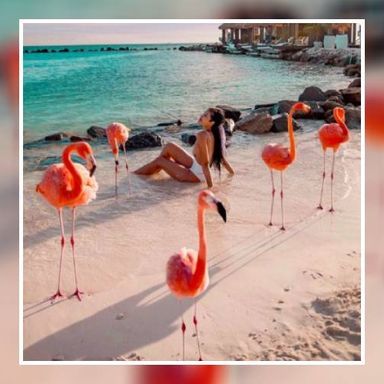 Фламинго плажът е новата ни мечтана дестинация