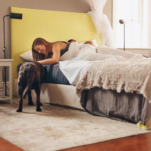 9 гадни факта за твоята спалня