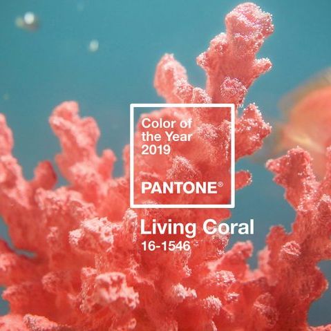 Цветът на 2019-а е... жив корал