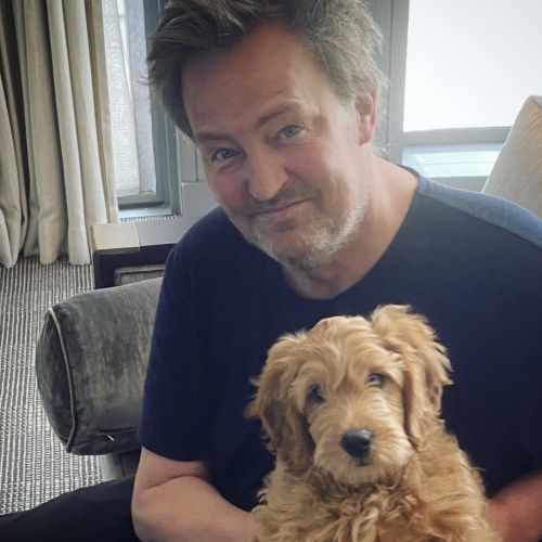 Феновете са загрижени за съдбата на кучето на Матю Пери