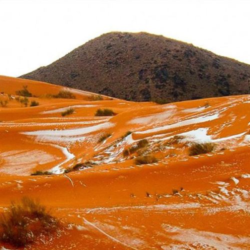 Над Сахара падна сняг за първи път от 37 години насам